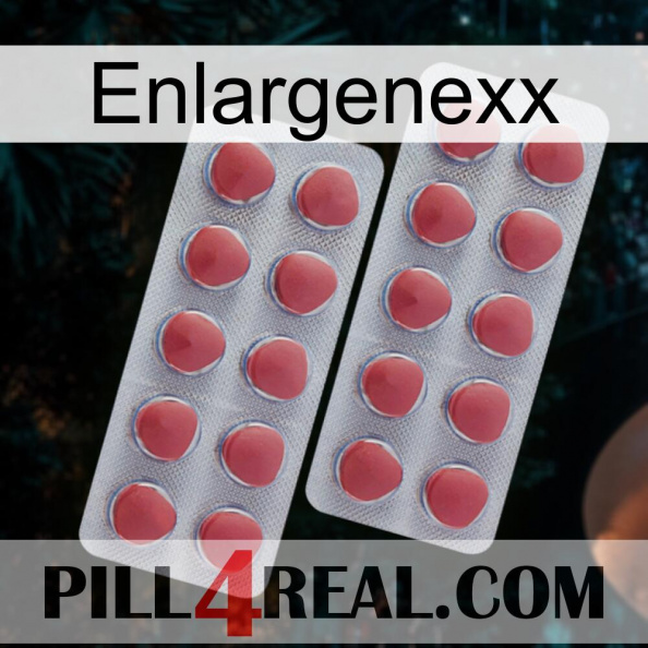 Enlargenexx 19.jpg